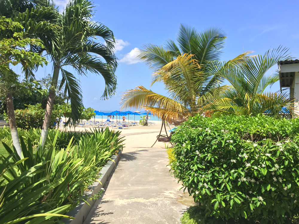 Photo Gallery Negril Treehouse Resort