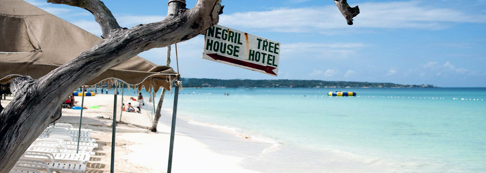 Treehouse Resort Watersports